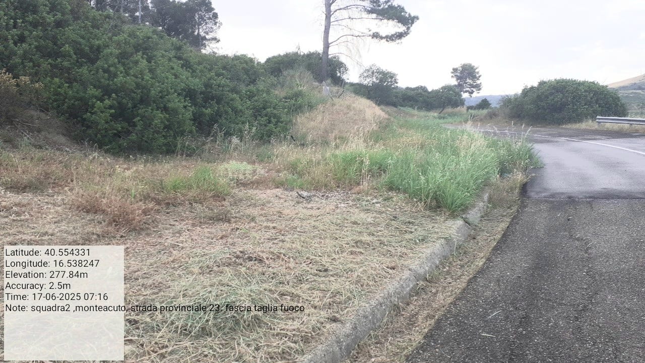 Galleria Fotografica Immagine