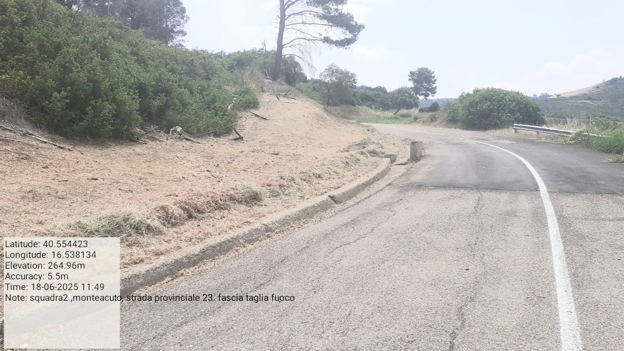 Galleria Fotografica Immagine