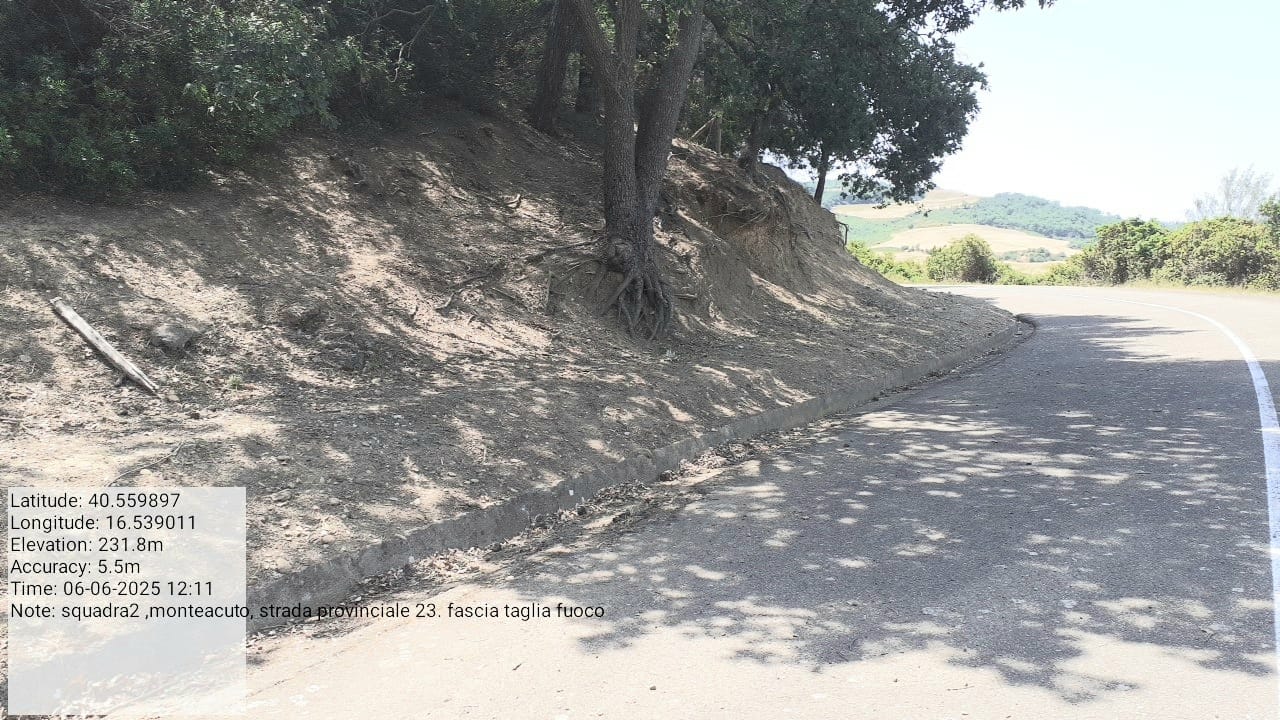 Galleria Fotografica Immagine