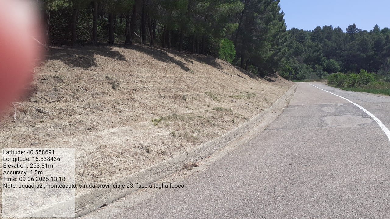 Galleria Fotografica Immagine