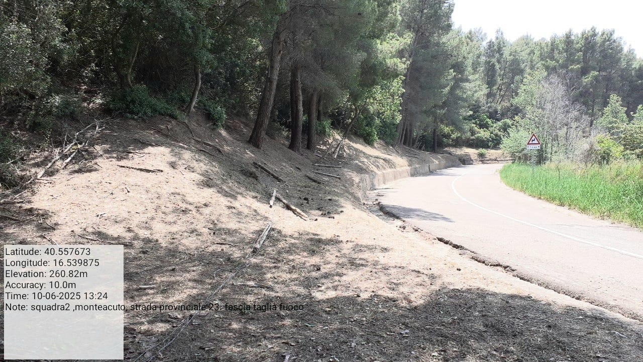 Galleria Fotografica Immagine