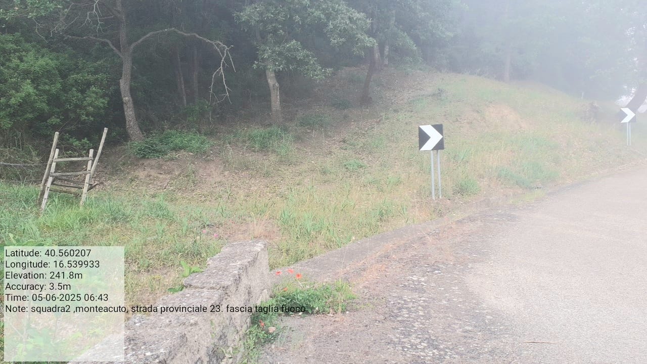 Galleria Fotografica Immagine