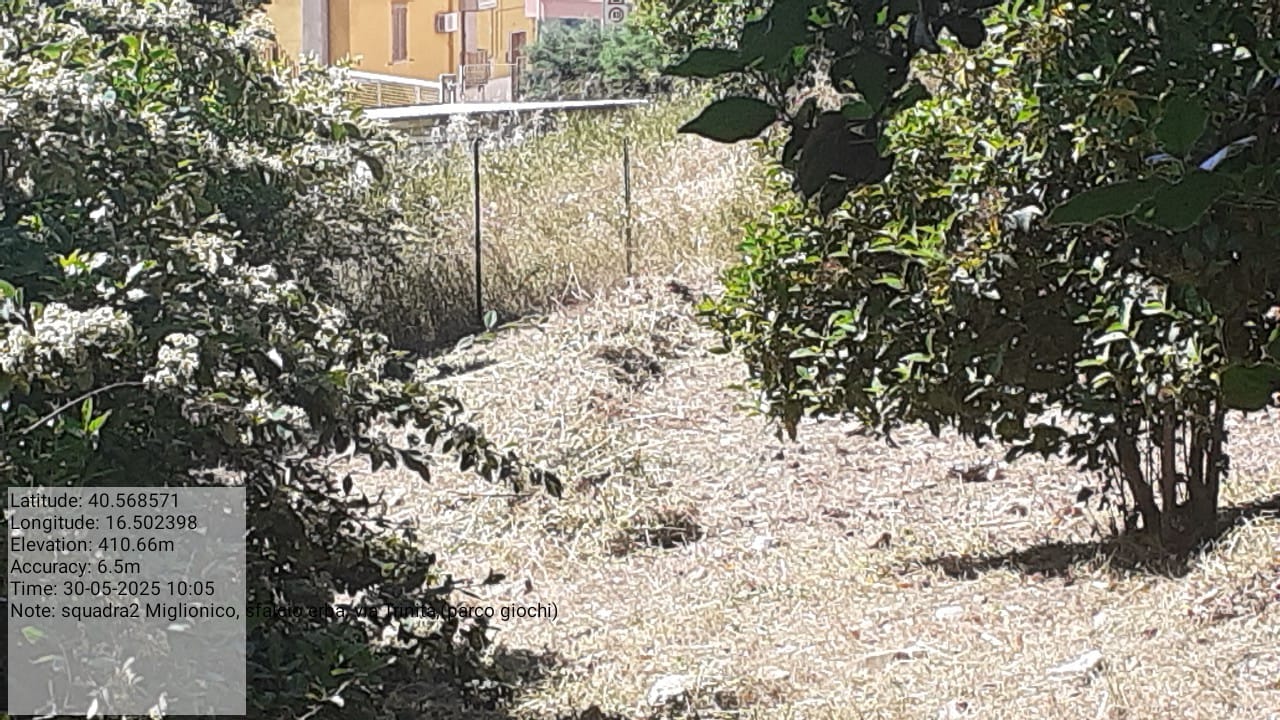 Galleria Fotografica Immagine