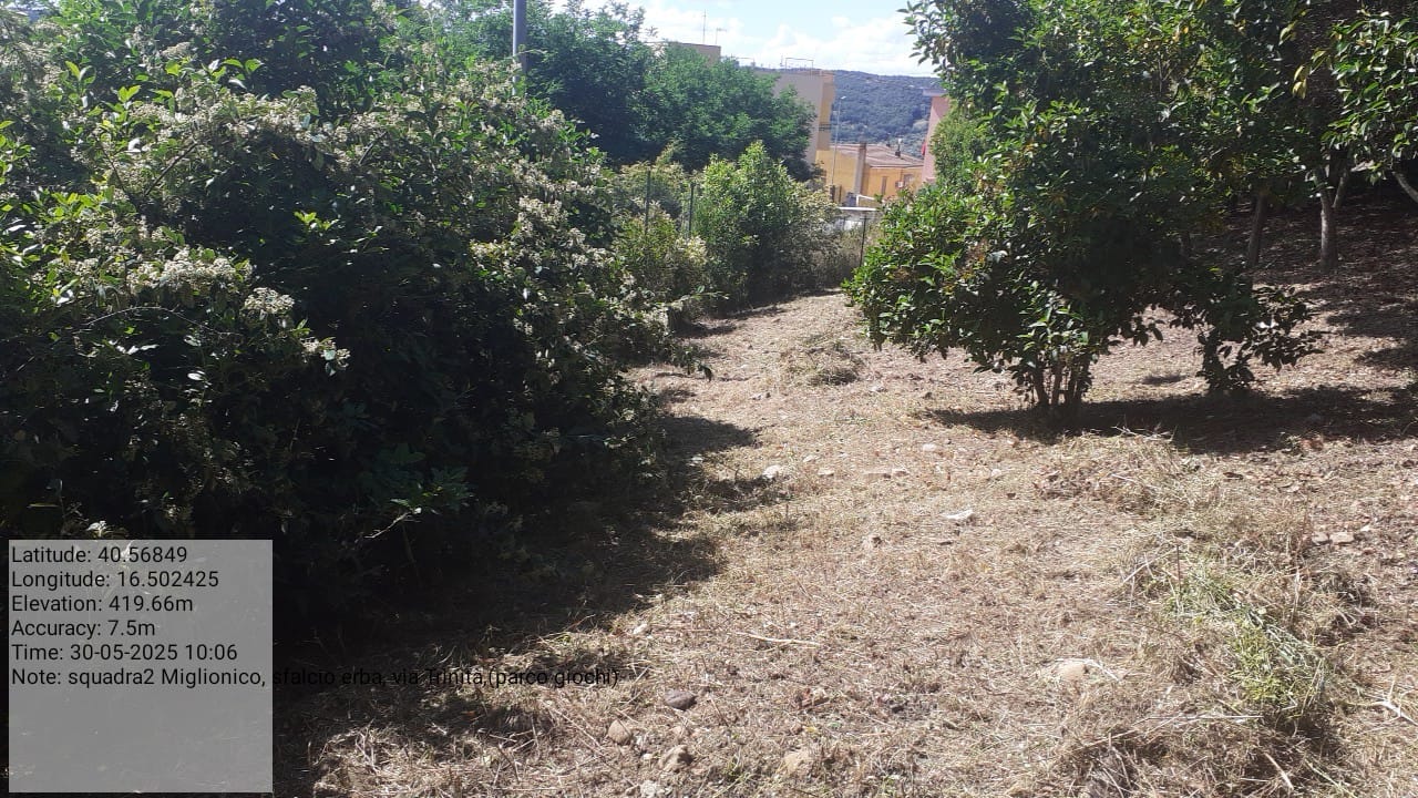 Galleria Fotografica Immagine