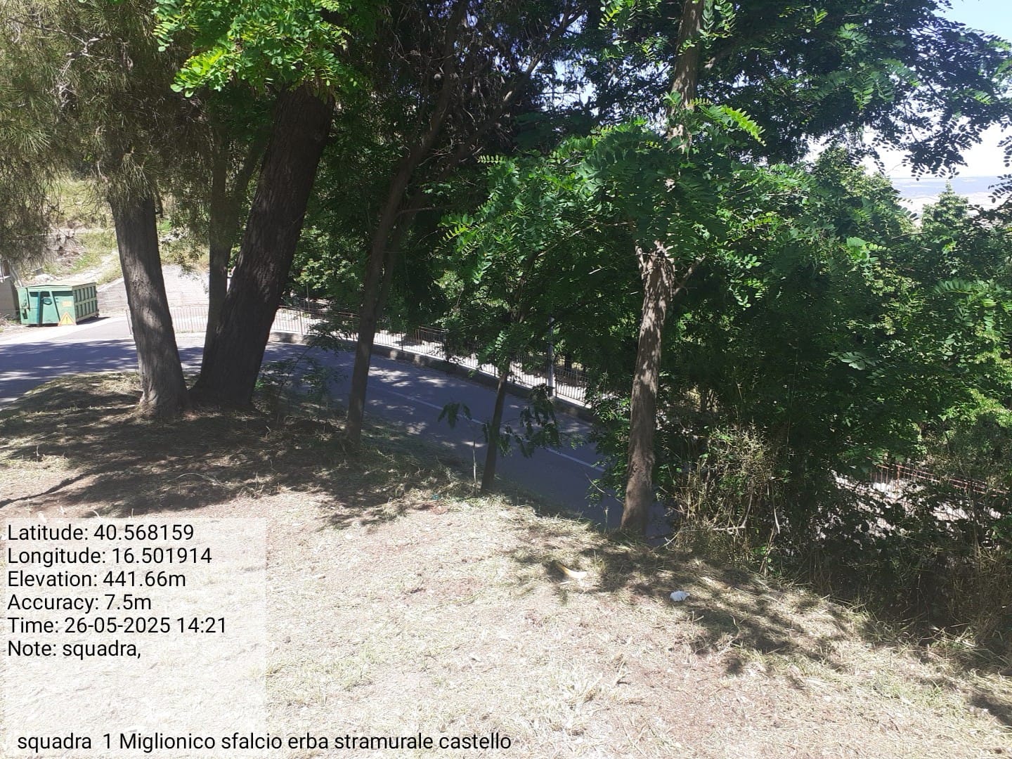 Galleria Fotografica Immagine