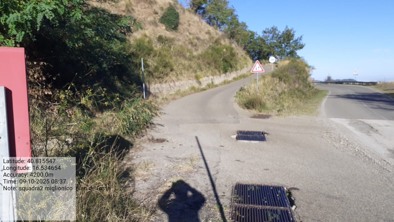 Galleria Fotografica Immagine