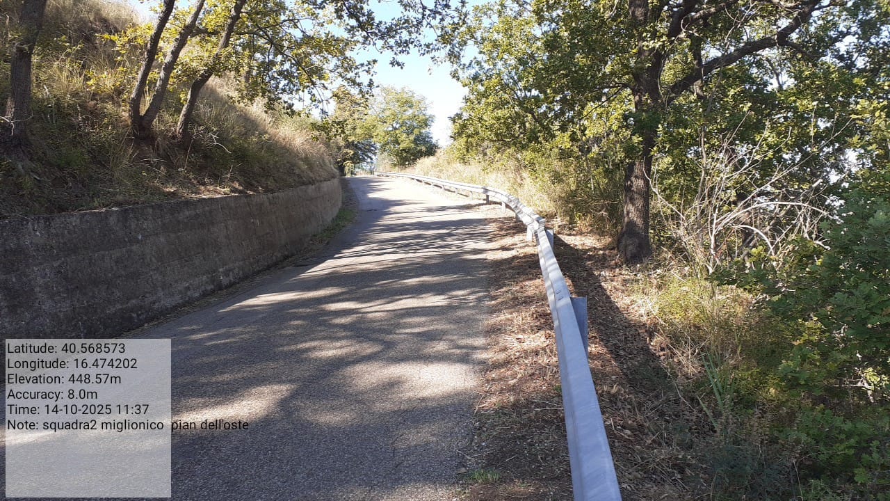 Galleria Fotografica Immagine