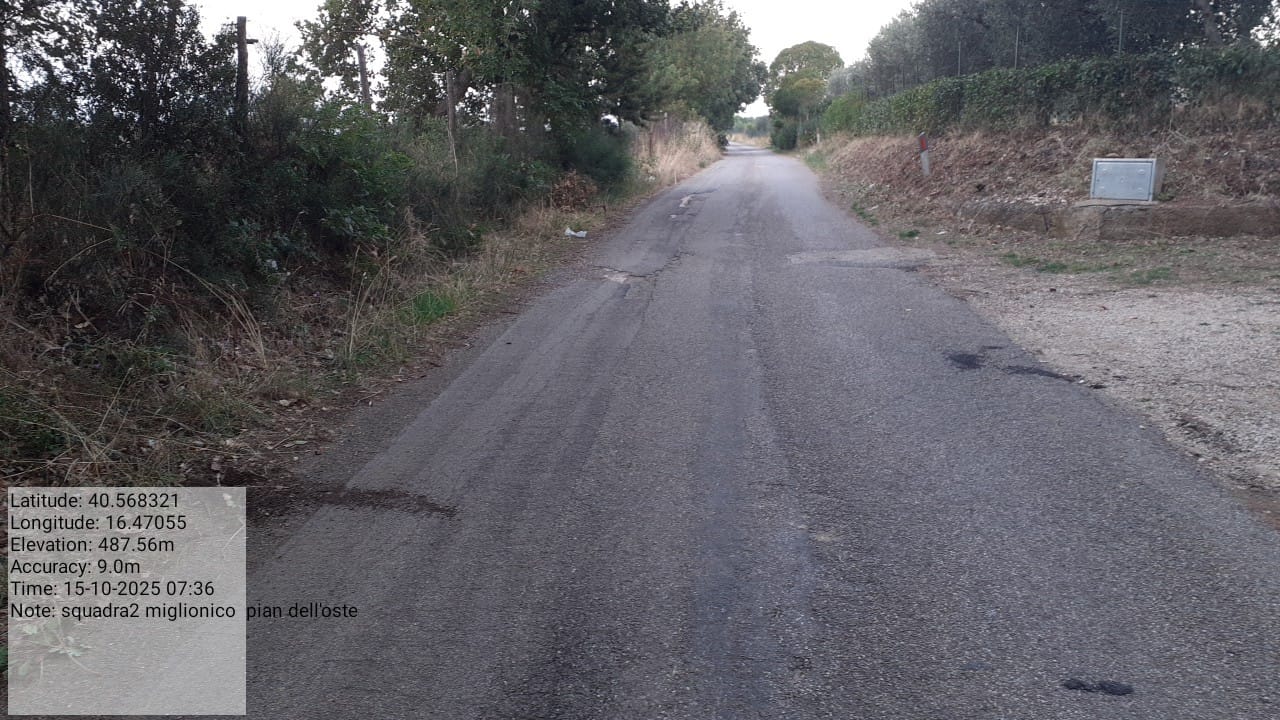 Galleria Fotografica Immagine