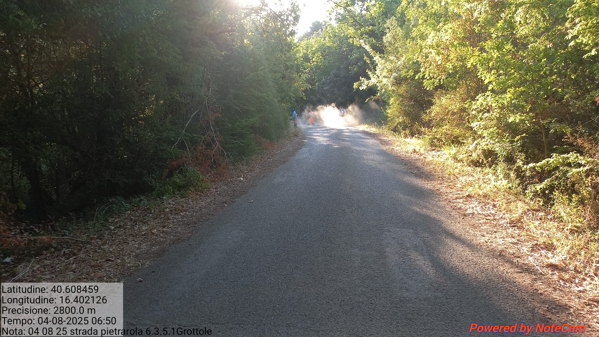 Galleria Fotografica Immagine