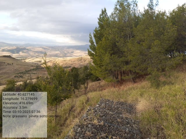 Galleria Fotografica Immagine