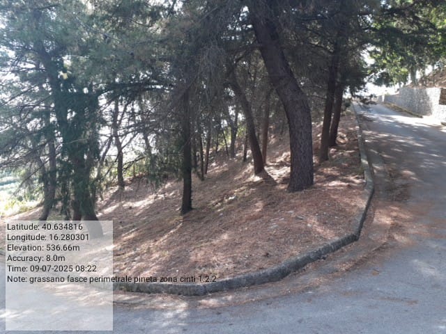 Galleria Fotografica Immagine