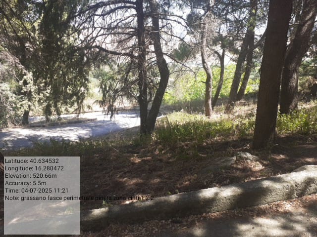 Galleria Fotografica Immagine