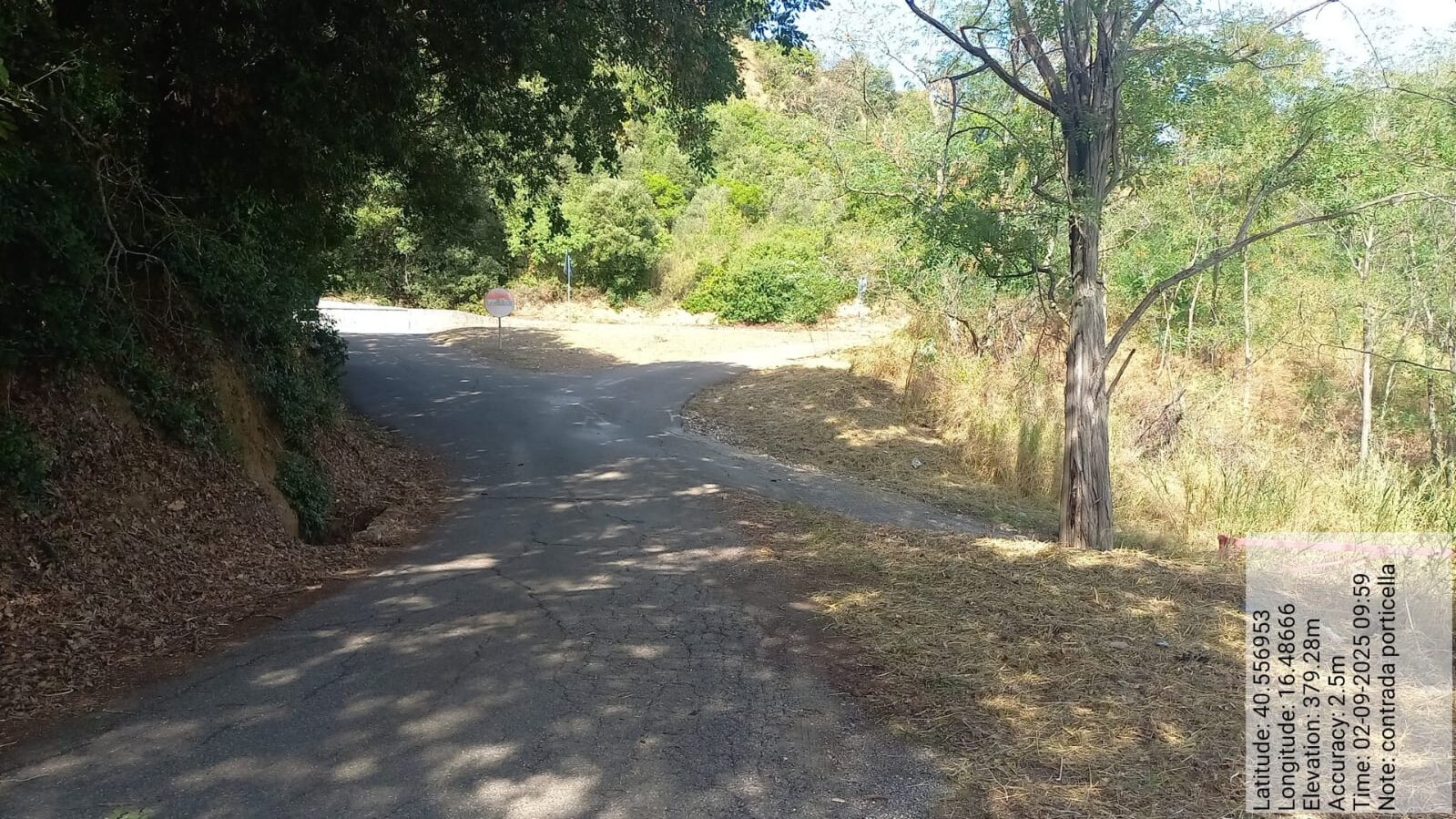 Galleria Fotografica Immagine