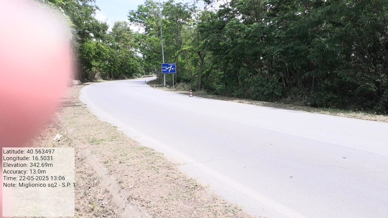 Galleria Fotografica Immagine