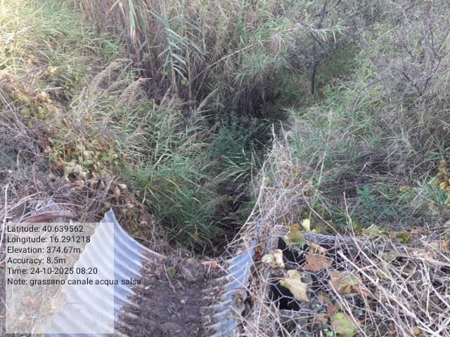 Galleria Fotografica Immagine