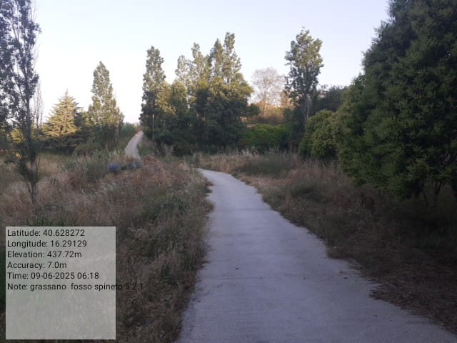 Galleria Fotografica Immagine