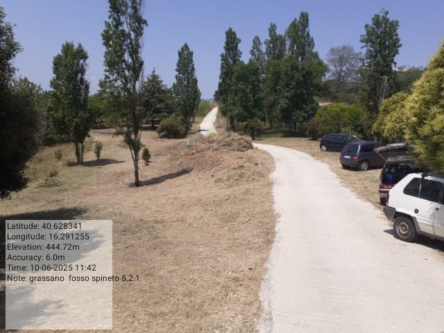 Galleria Fotografica Immagine