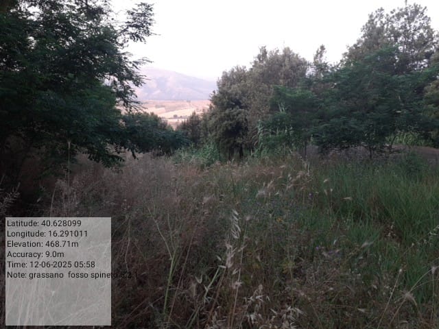 Galleria Fotografica Immagine