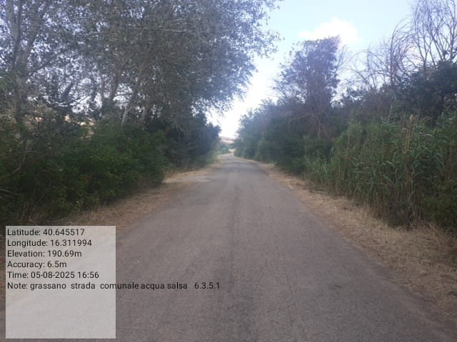 Galleria Fotografica Immagine