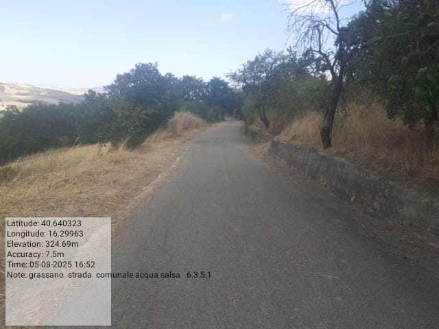 Galleria Fotografica Immagine