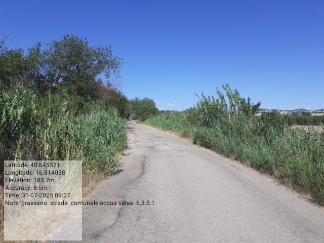 Galleria Fotografica Immagine