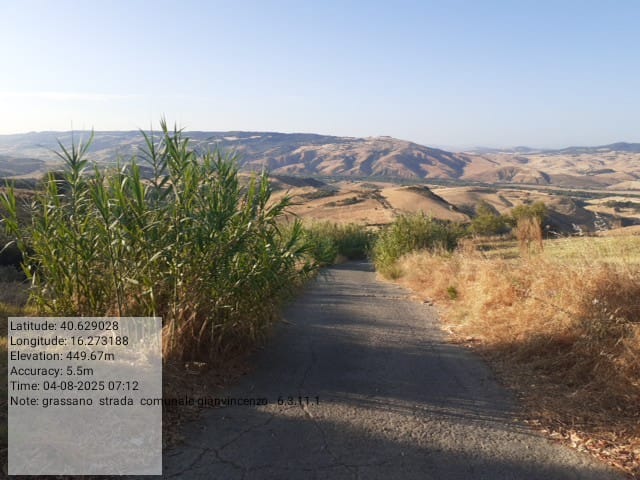 Galleria Fotografica Immagine