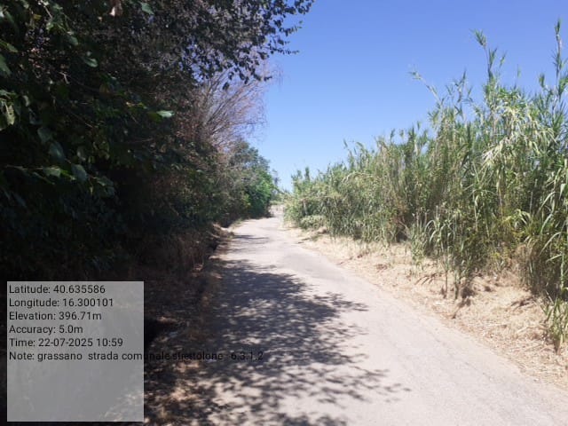 Galleria Fotografica Immagine