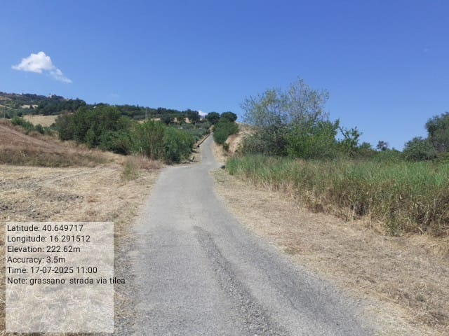 Galleria Fotografica Immagine