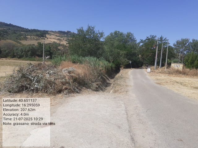 Galleria Fotografica Immagine