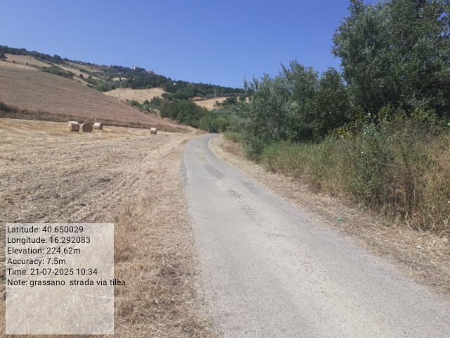 Galleria Fotografica Immagine