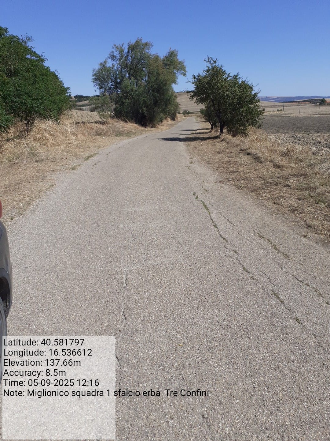 Galleria Fotografica Immagine