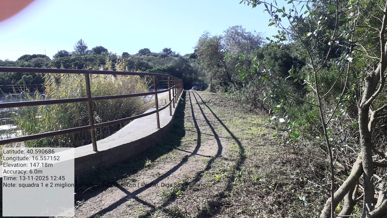 Galleria Fotografica Immagine