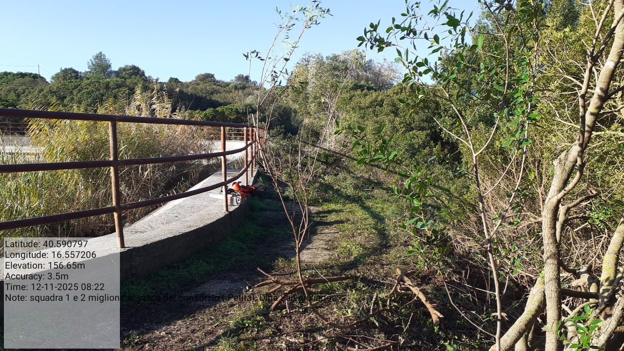 Galleria Fotografica Immagine