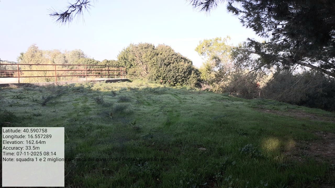 Galleria Fotografica Immagine