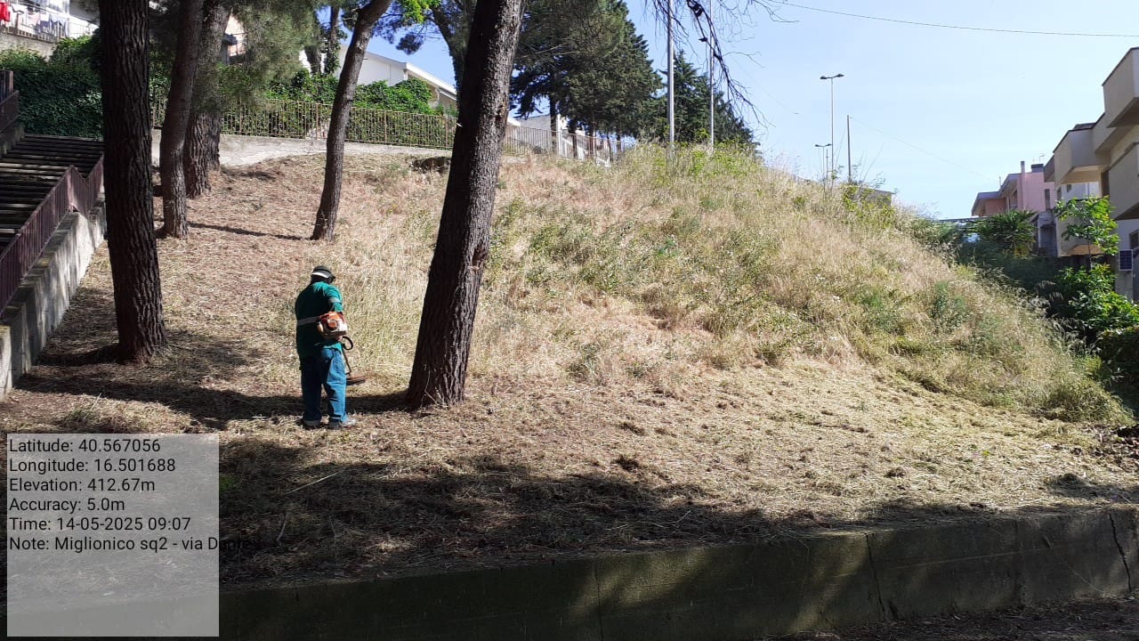 Galleria Fotografica Immagine