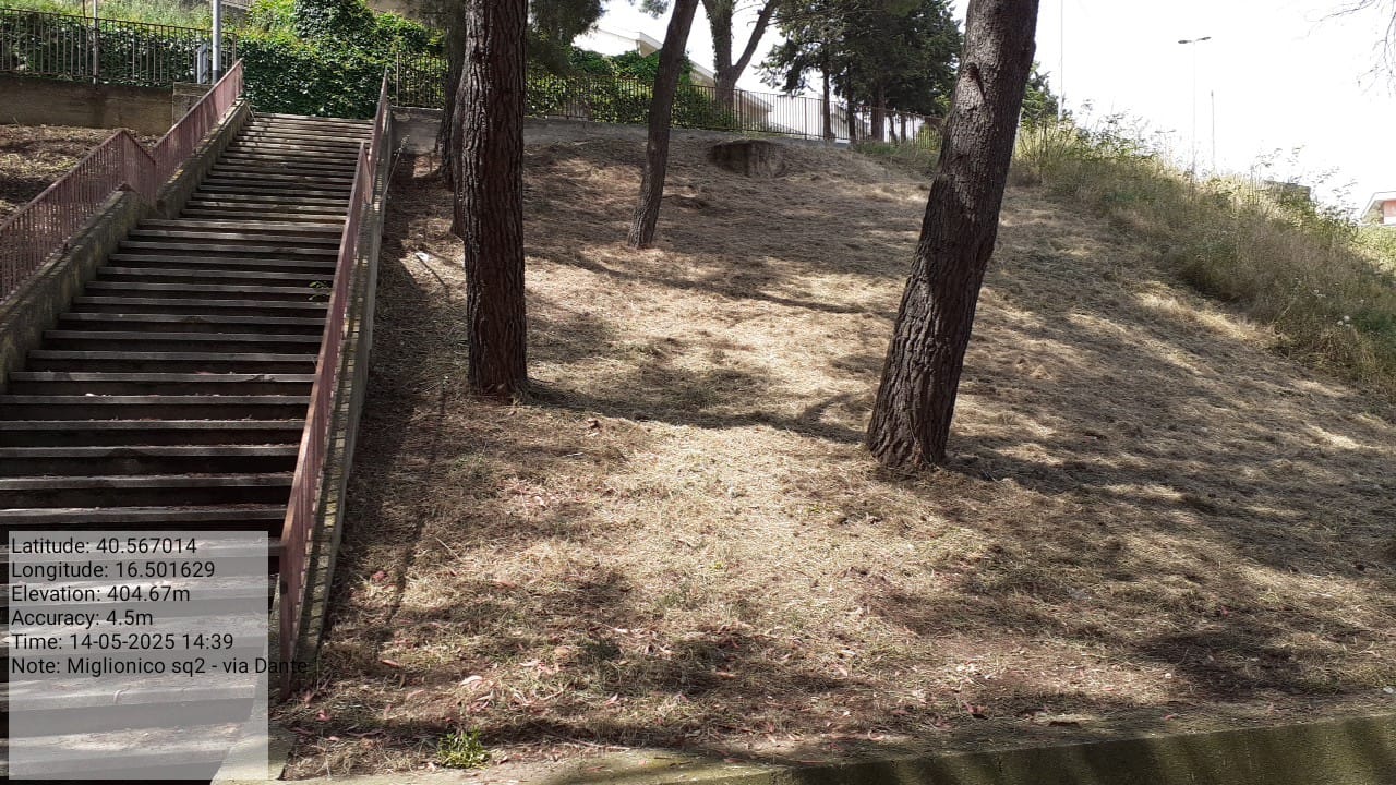 Galleria Fotografica Immagine