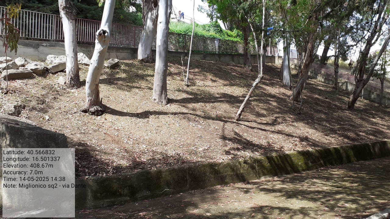 Galleria Fotografica Immagine