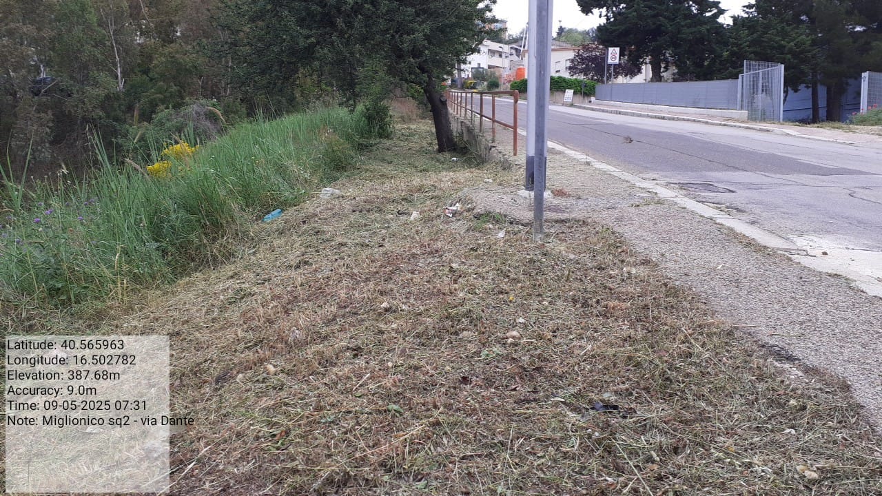 Galleria Fotografica Immagine