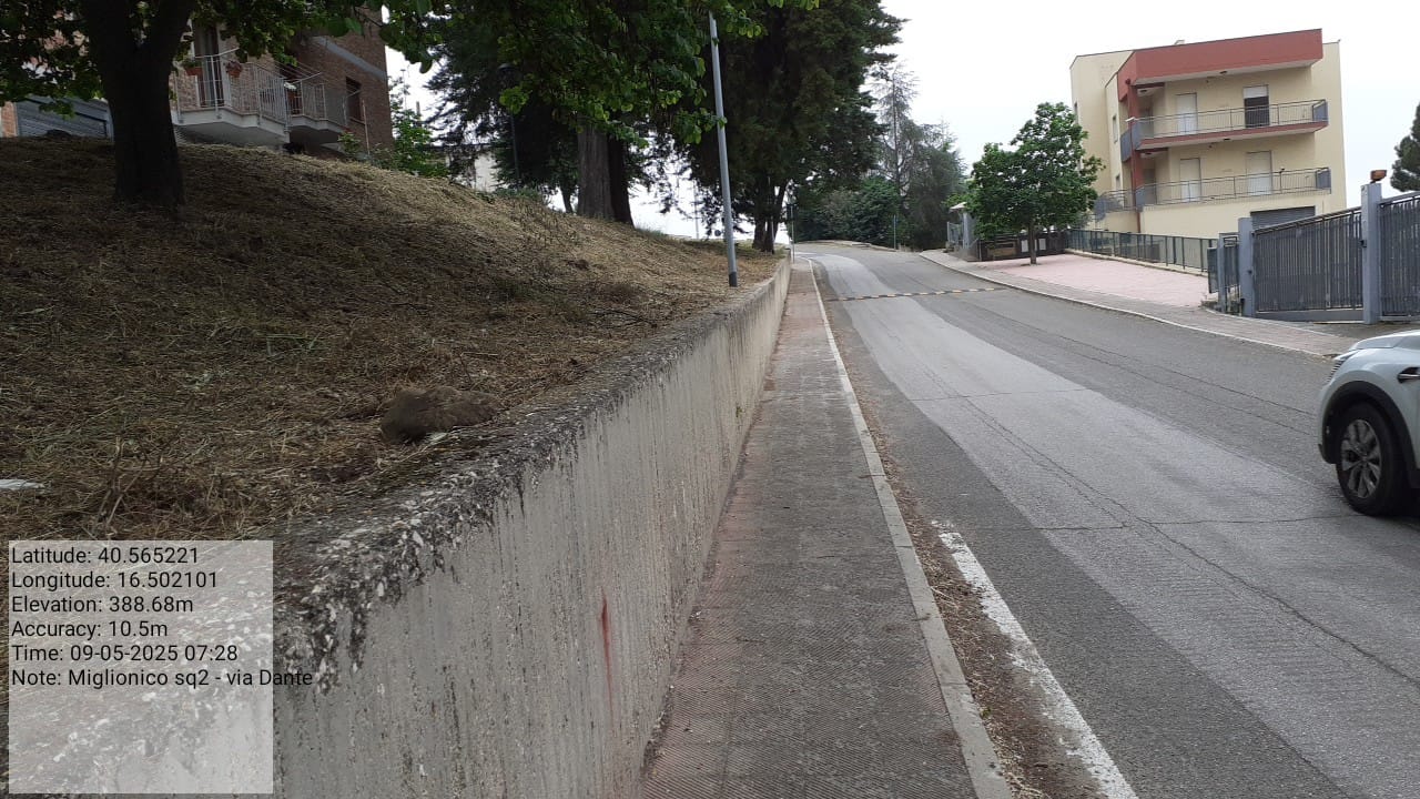 Galleria Fotografica Immagine