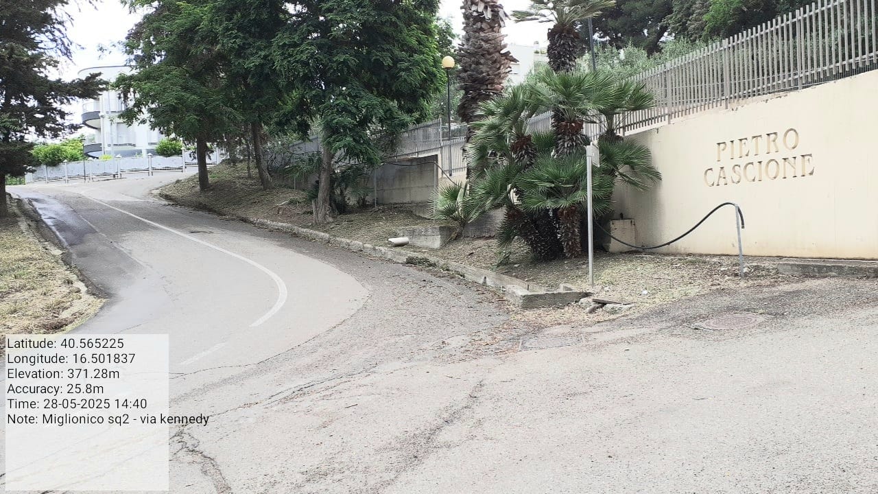 Galleria Fotografica Immagine