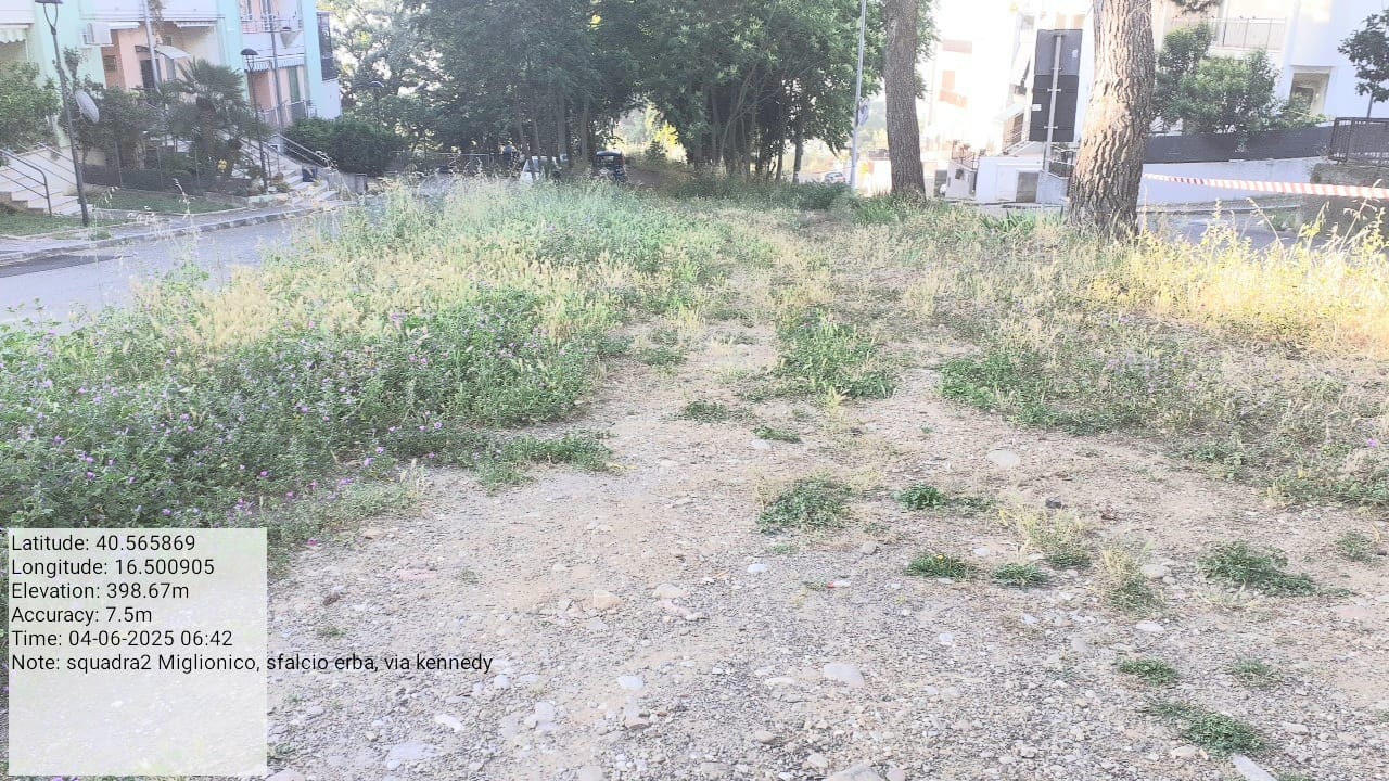 Galleria Fotografica Immagine