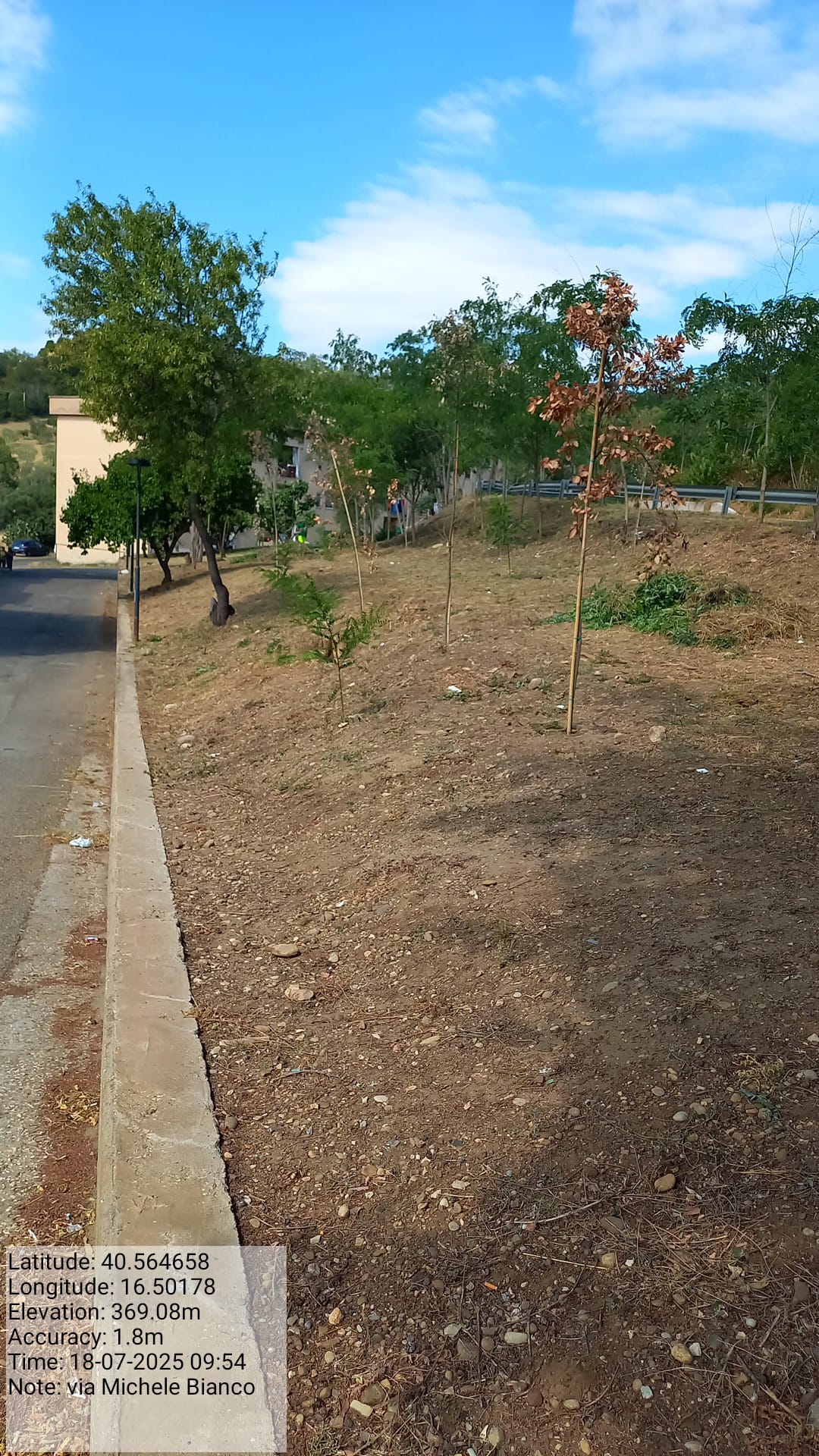 Galleria Fotografica Immagine