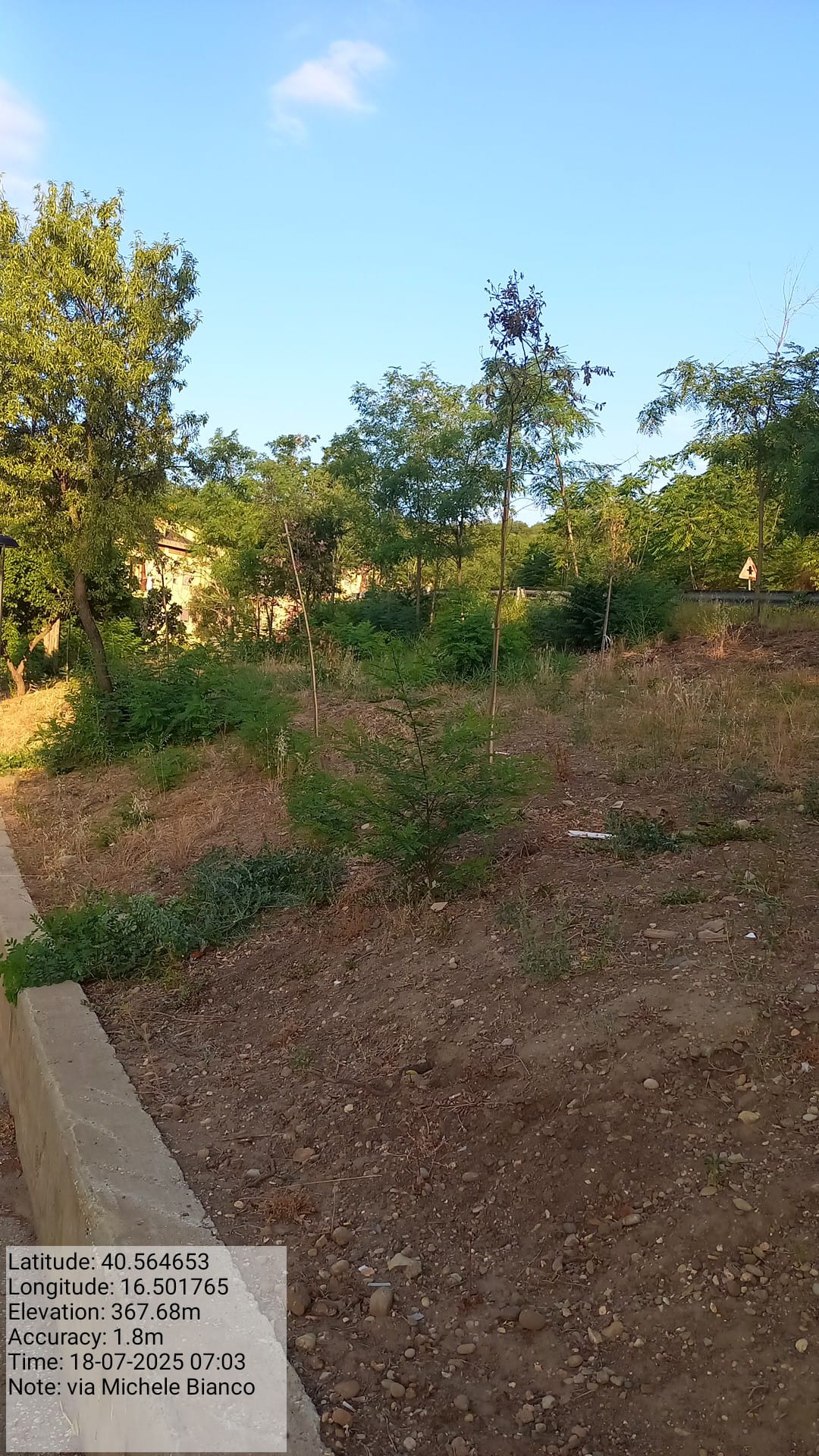 Galleria Fotografica Immagine