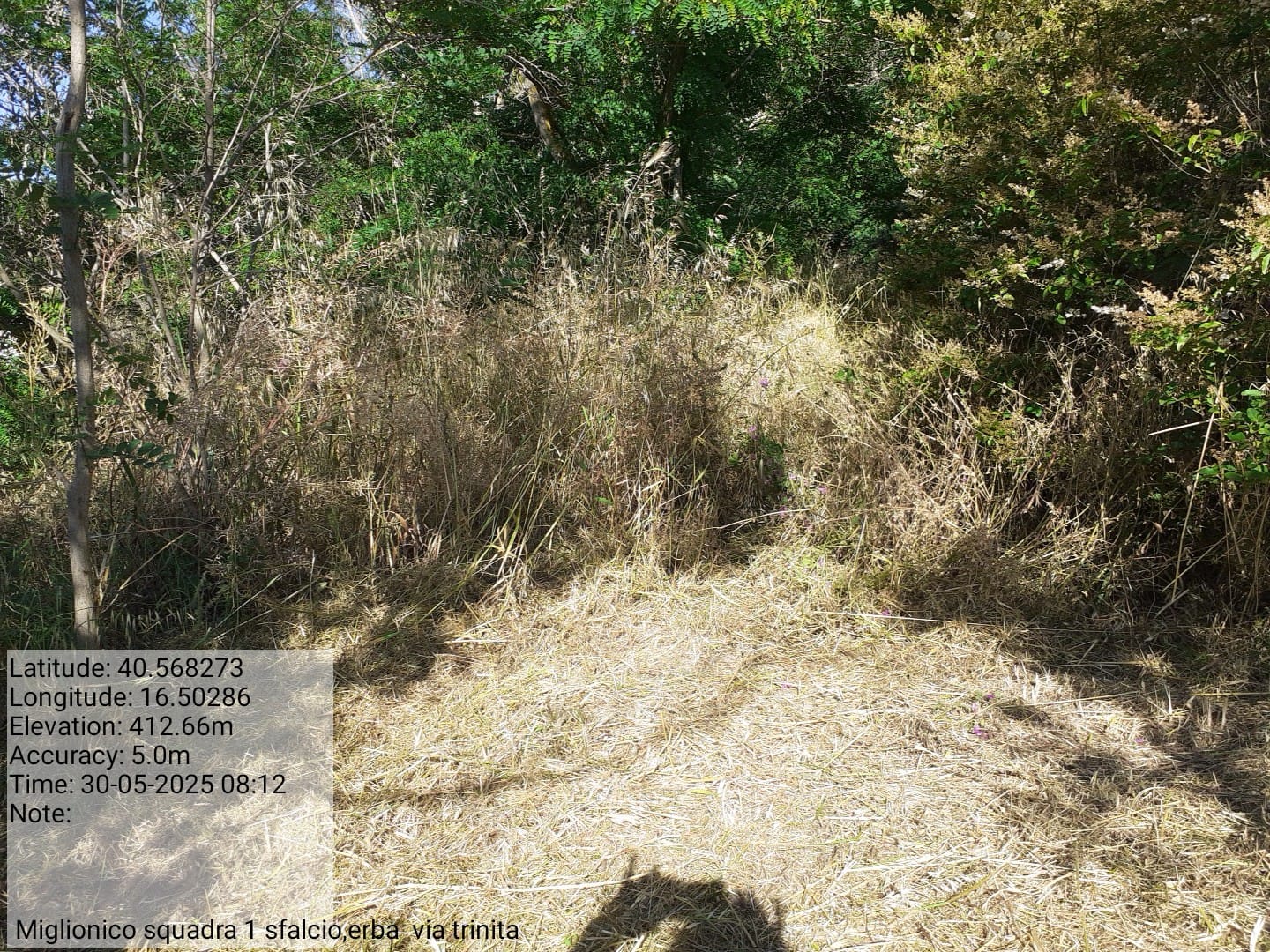 Galleria Fotografica Immagine