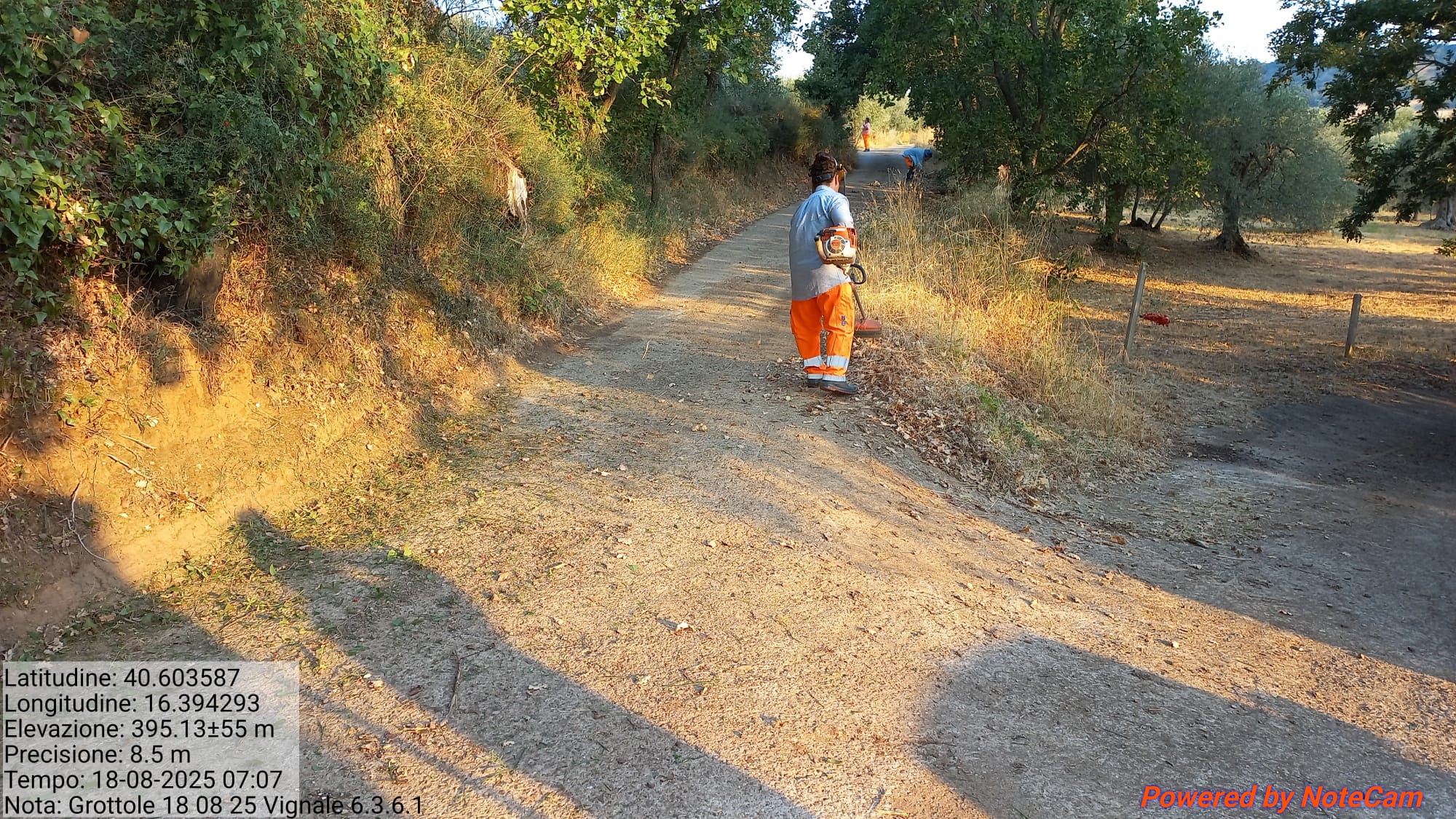 Galleria Fotografica Immagine