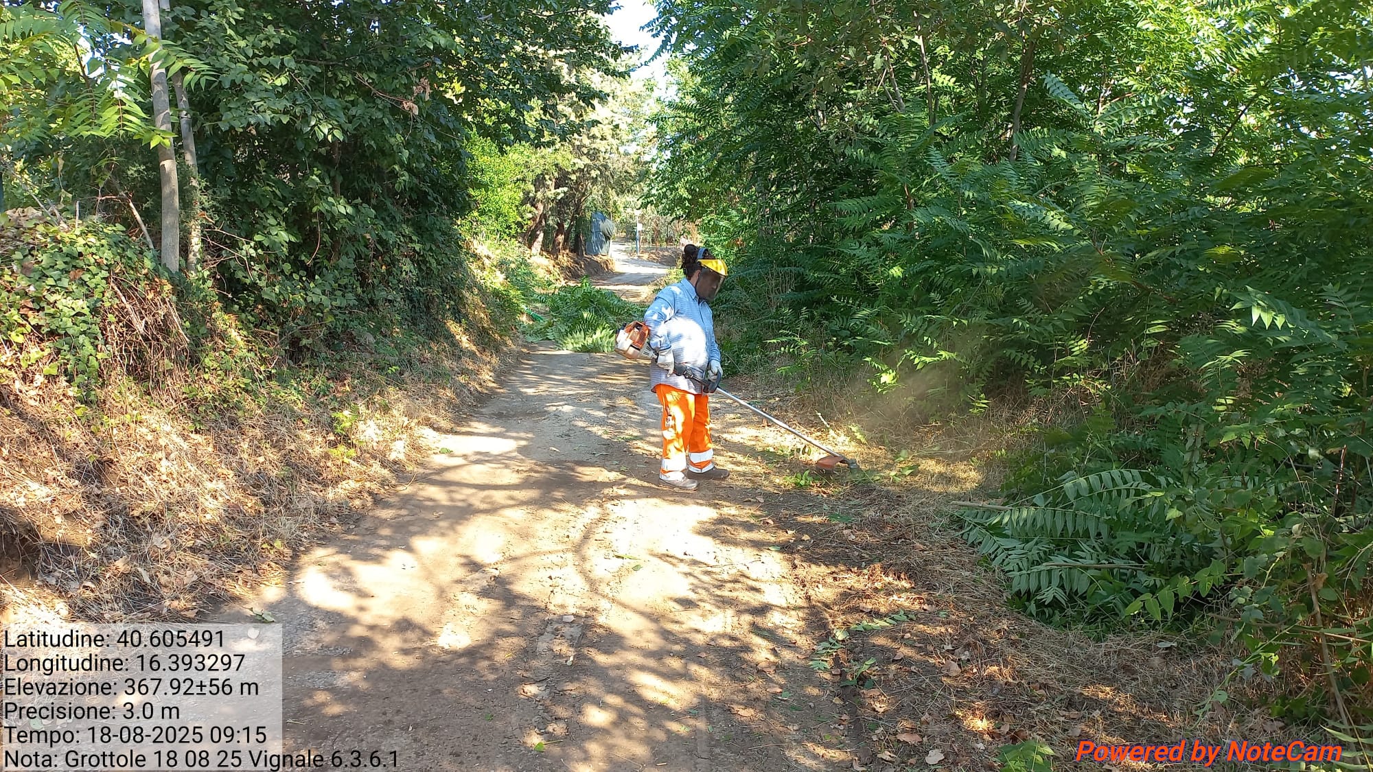 Galleria Fotografica Immagine