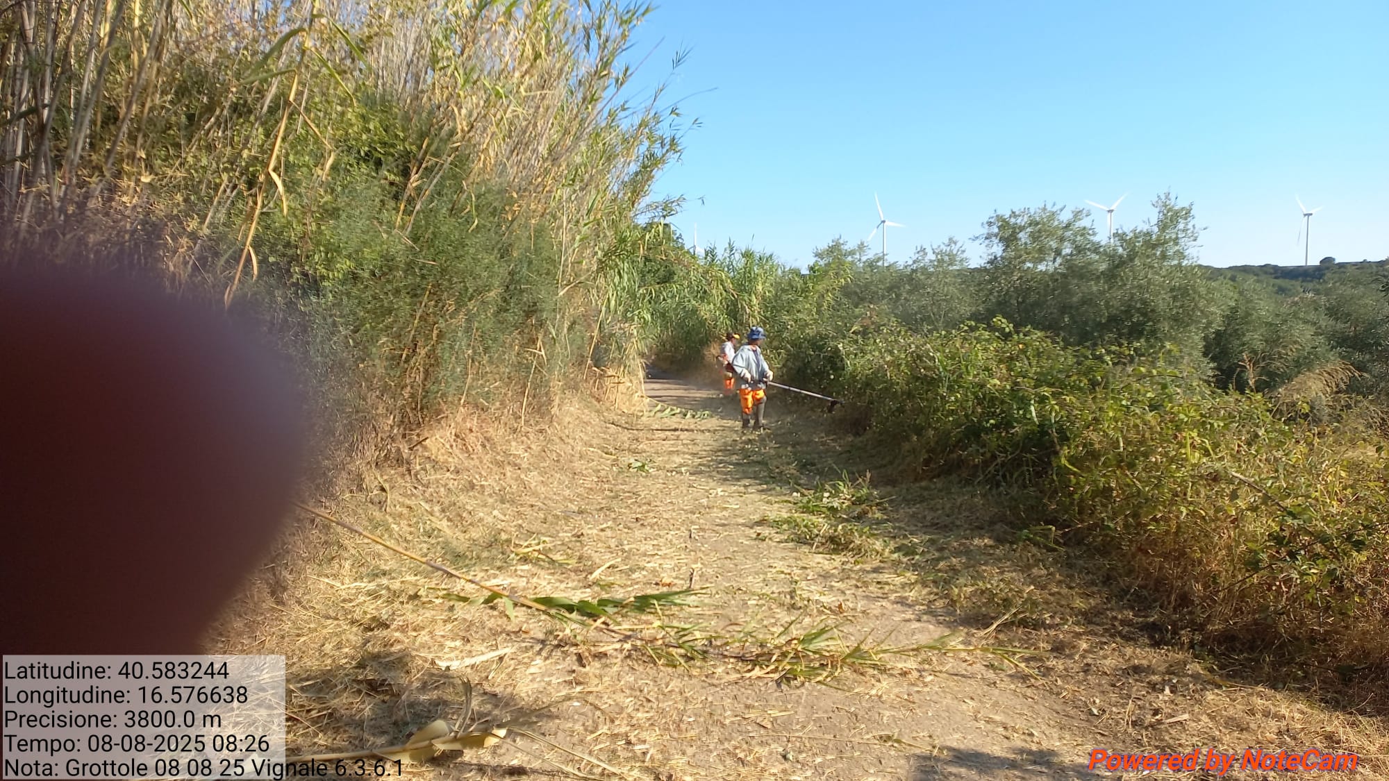 Galleria Fotografica Immagine