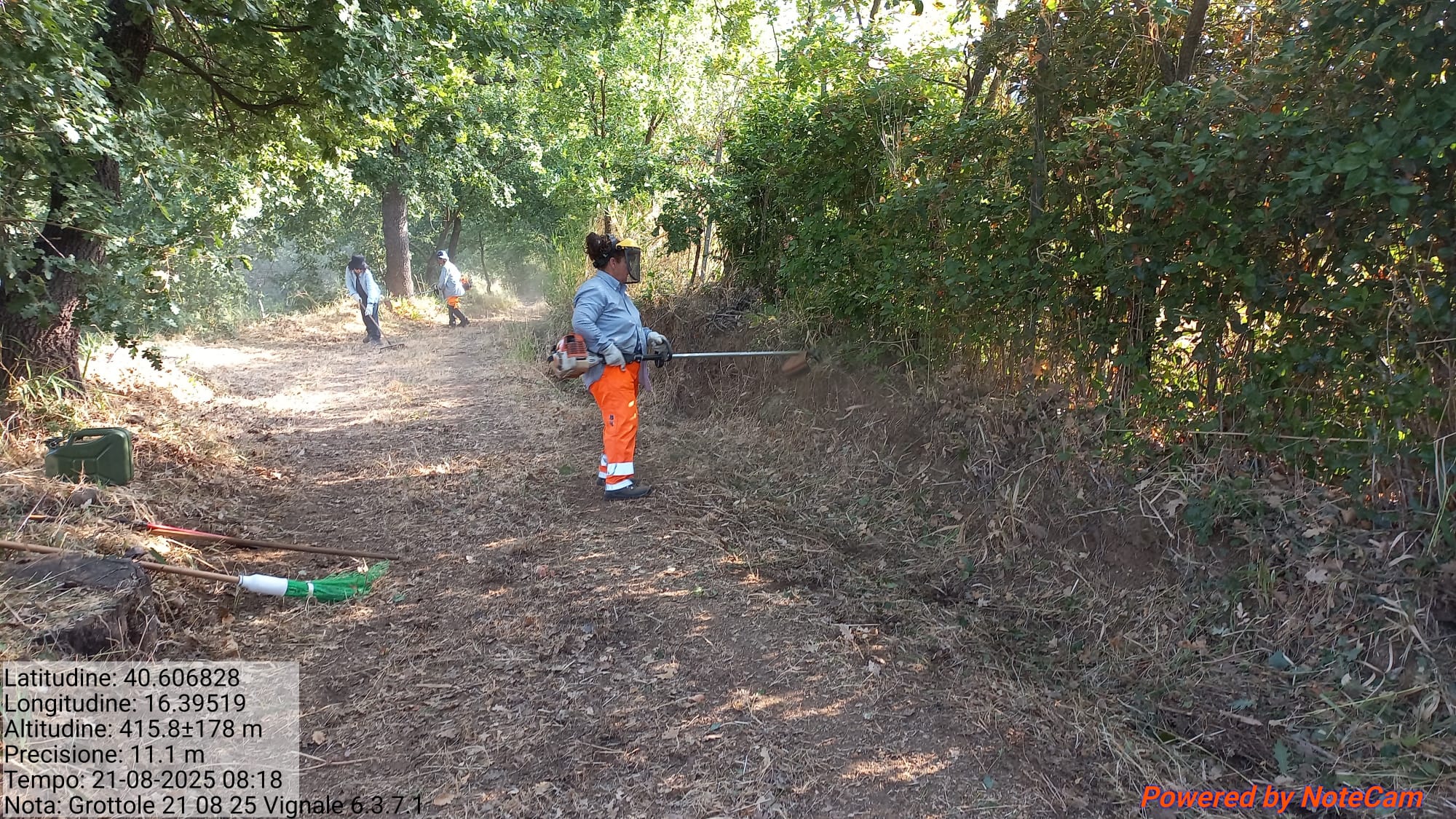 Galleria Fotografica Immagine