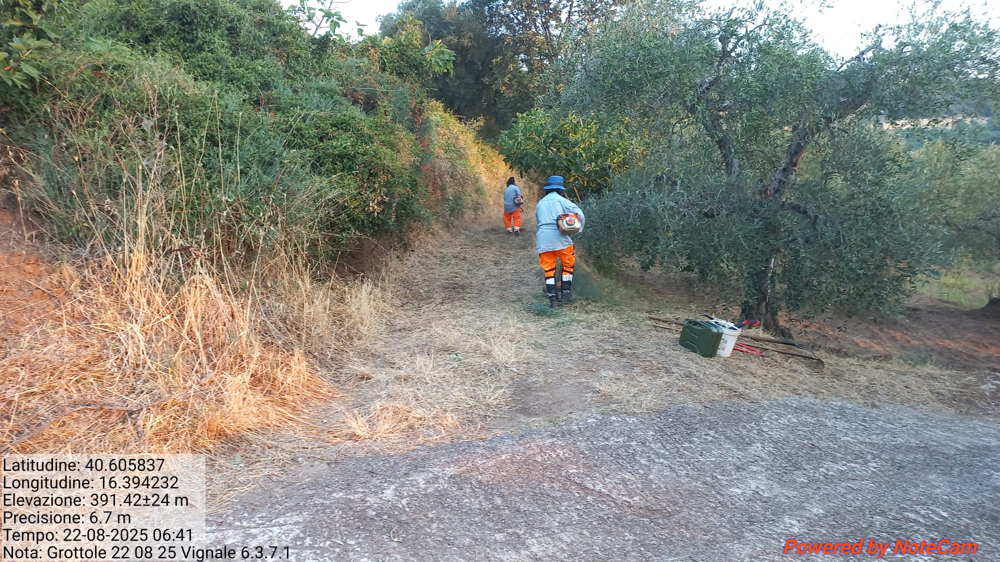 Galleria Fotografica Immagine