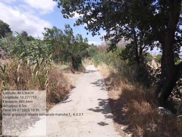 Galleria Fotografica Immagine